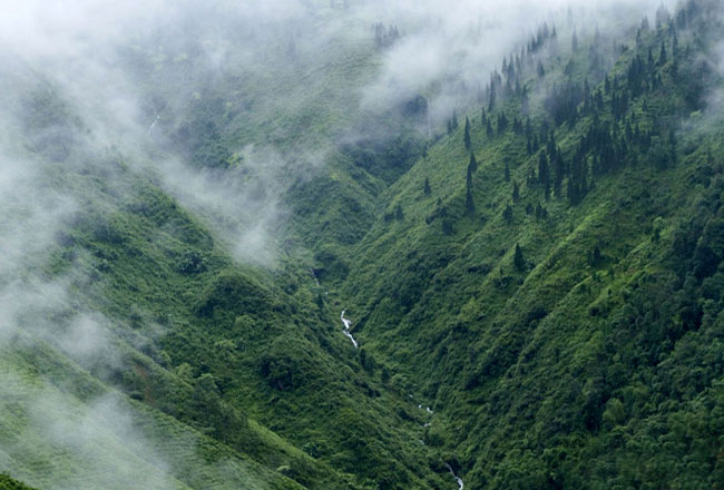 Coorg