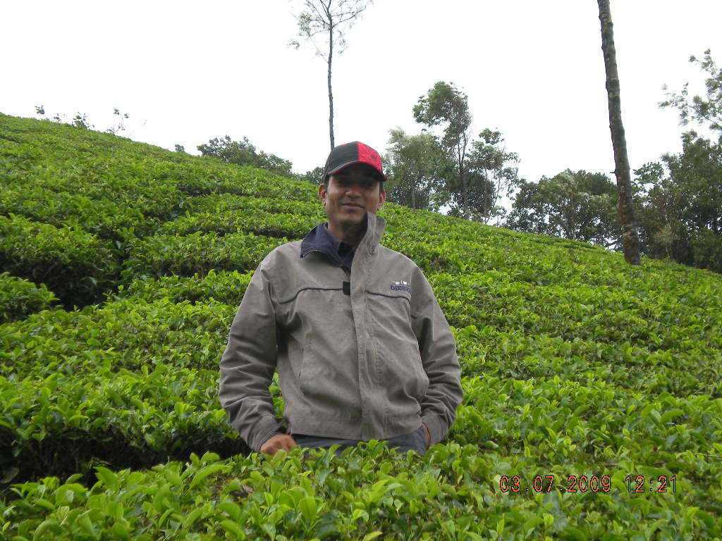 Devikulam (7 km from Munnar)