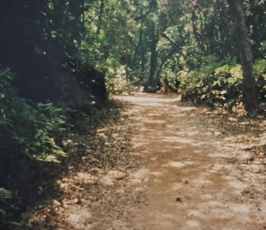 Matheran: A Beautiful Hill Station in Maharashtra