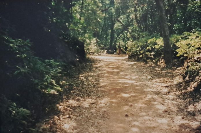 Matheran: A Beautiful Hill Station in Maharashtra